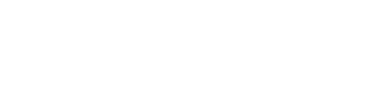SEAGULL Logo White