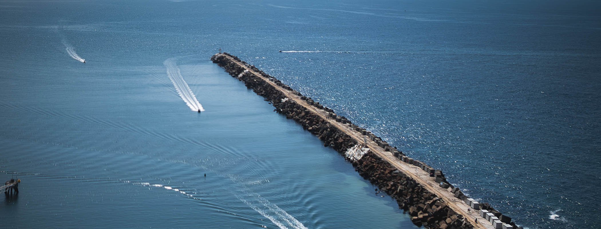 seagull_blog_Seeing_the_Unseen_body